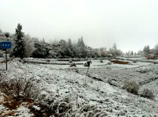 烟霏霏，雪霏霏。_副本_副本.jpg
