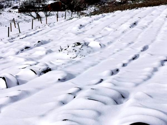 地白风色寒，雪花大如手。_副本_副本.jpg
