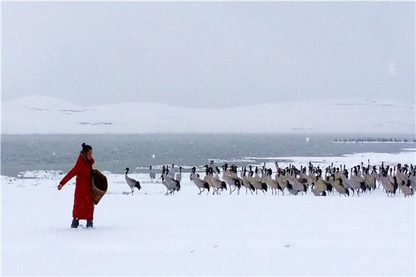 20150118_133406_副本.jpg