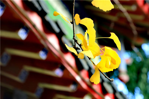 1（郭连义）.jpg