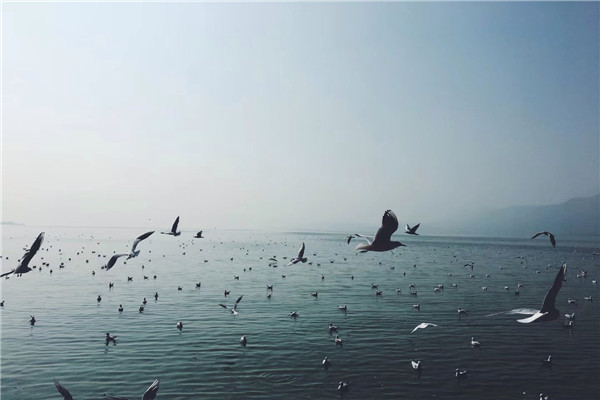 丰宁 (19).jpg