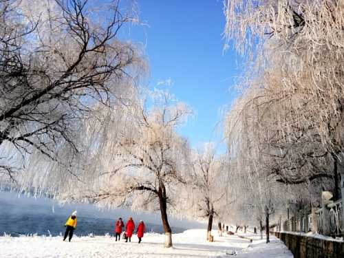 地白风色寒，雪花大如手。微信图片_2020010311354024马_副本_副本.jpg