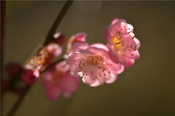 6（刘海伦）.jpg