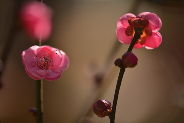 8（刘海伦）.jpg