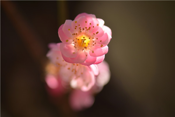 10（刘海伦）.jpg