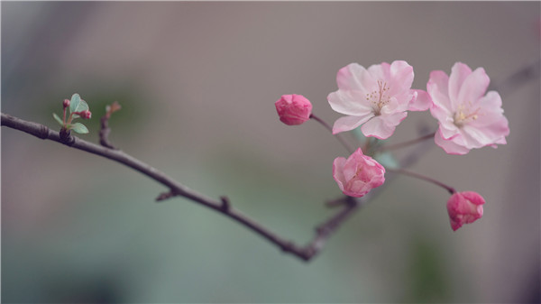 微信图片_20200305102051.jpg