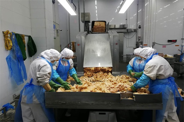 昆明双汇食品有限公司初检车间工人正在对食品原材料进行分拣.jpg