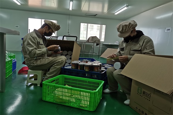 云南圣木生物制药有限公司对进行产品标签张贴.jpg