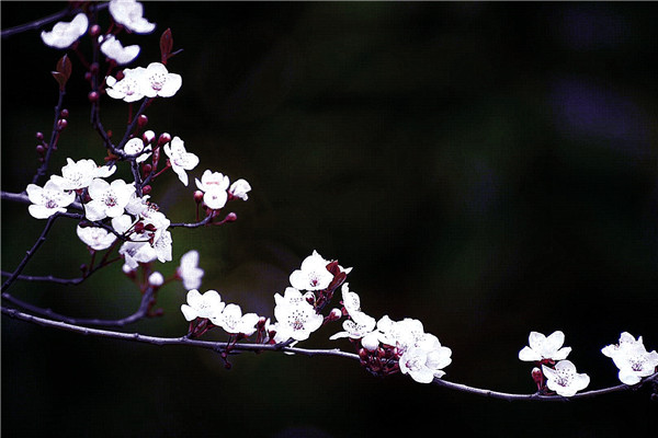 3208bb9de7d3b567abe10f5529096f6_副本.jpg