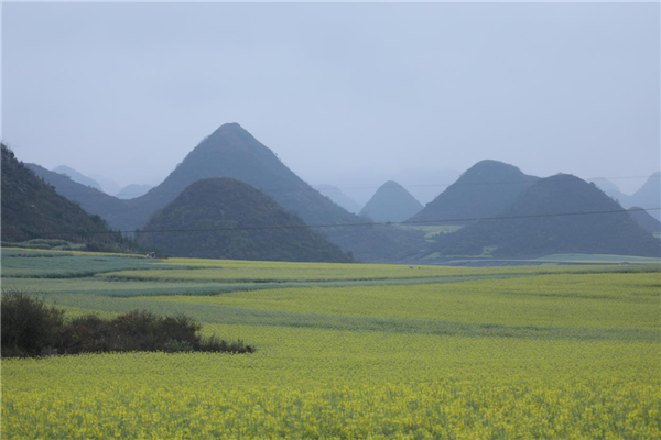 图片8.png