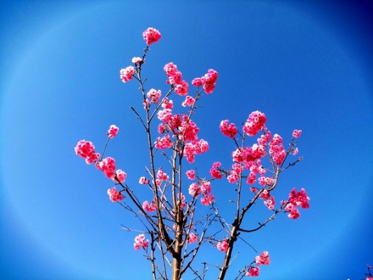 孙玉宝 (2)_副本_副本.jpg