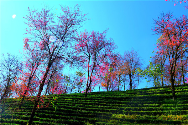 普吉街道周光富 (1).jpg