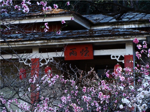 3-郊野公园.jpg