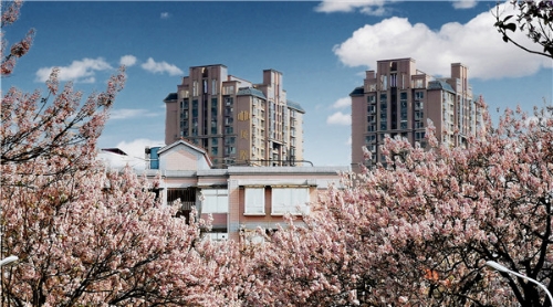 10-滇池中学.jpg