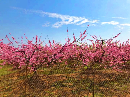 1585818199215032830.jpg 1585818199215032830.jpg