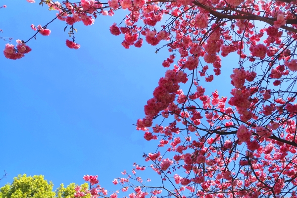 1585817876285068405.jpg 1585817876285068405.jpg