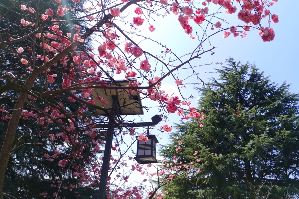 1585817900898027945.jpg 1585817900898027945.jpg