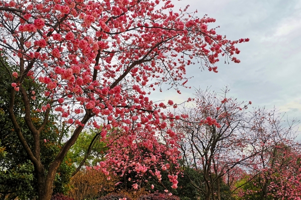 1585817970805027265.jpg 1585817970805027265.jpg