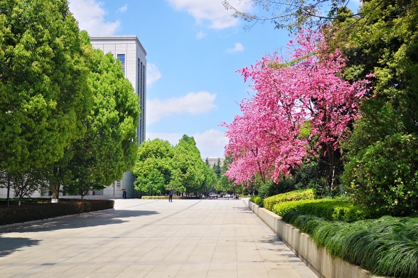 1585817996847036438.jpg 1585817996847036438.jpg