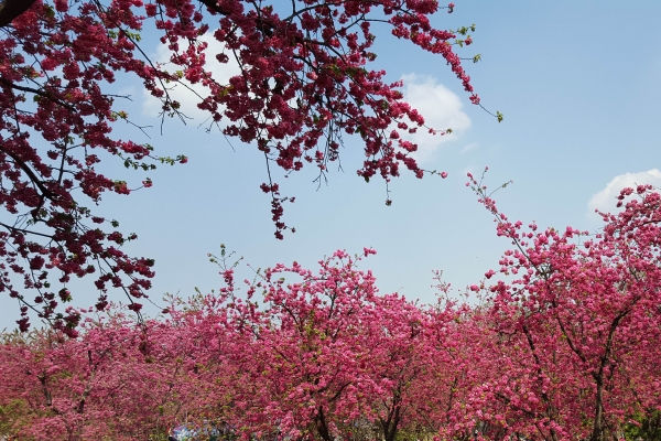 1585818021747055774.jpg 1585818021747055774.jpg