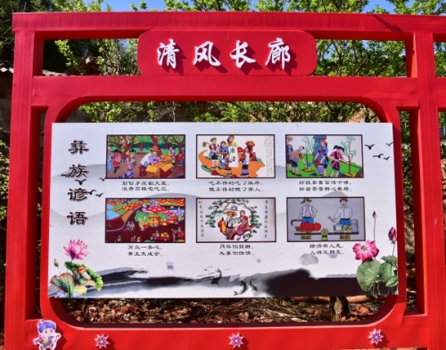 DSC_4808_看图王(1).jpg