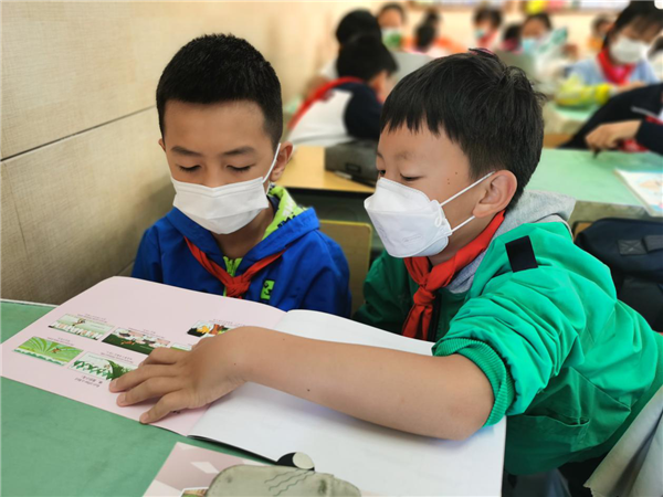 图片8.png