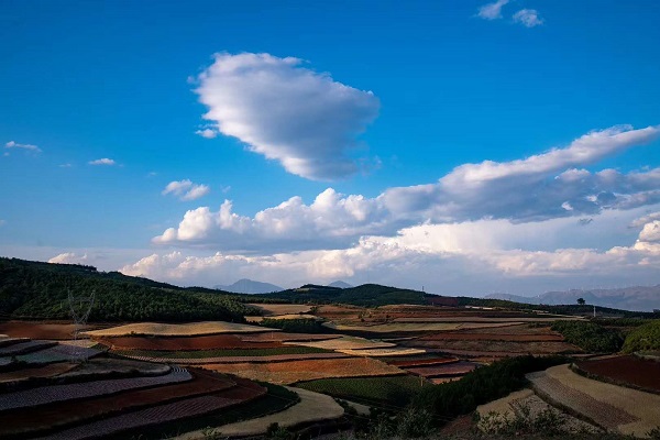 微信图片_20200528154557.jpg