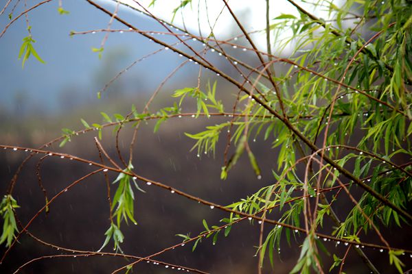 王天喜 (4)_副本.jpg