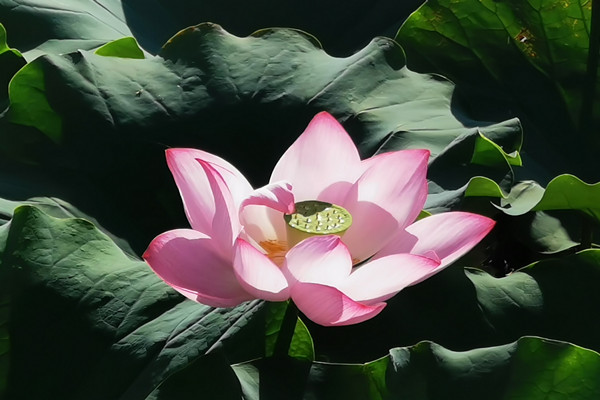 4_副本.jpg