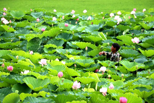 IMG_1224-阿旺_副本.jpg