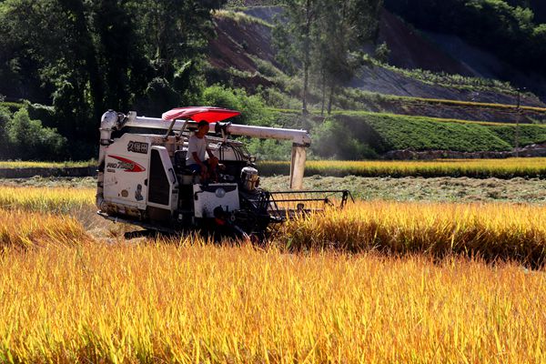 1600677201672077836.jpg 张学艳_副本.jpg