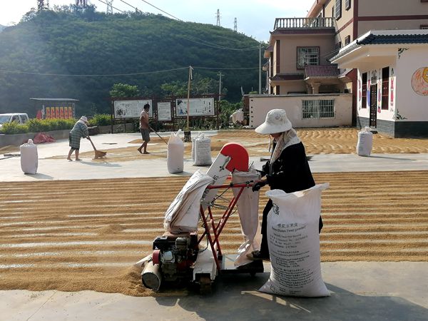 1600677269631076613.jpg 刘祥芬_副本.jpg