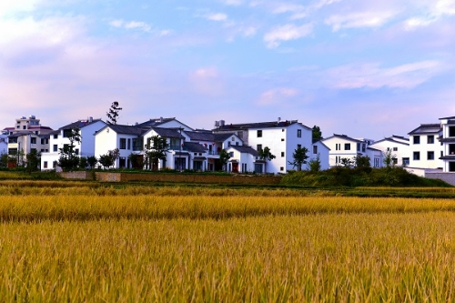 昭阳区元龙新村积极响应国家脱贫攻坚号召，摘帽后着手“美丽乡村”建设。一栋栋错落有致的居民楼与良好的生态环境见证着脱贫取得的成效。（蒋莉  摄）.jpeg