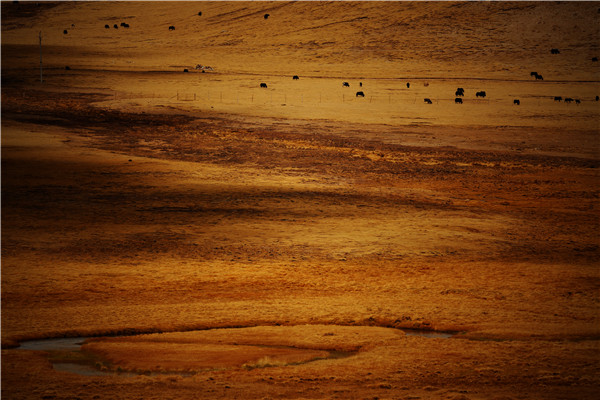 1604281814958056958.jpg 1.jpg