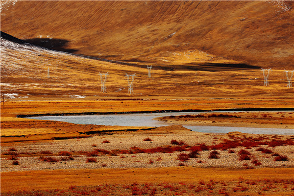 1604281825998033132.jpg 2.jpg