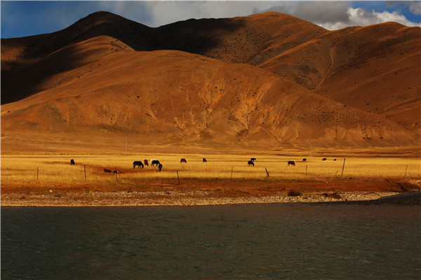 1604281838672064487.jpg 3.jpg