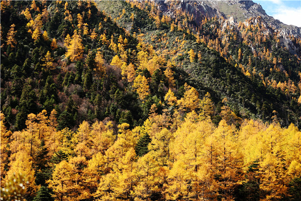 1604281853547072197.jpg 4.jpg