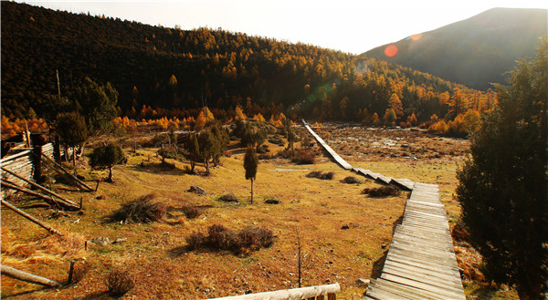 1604281867229057578.jpg 5.jpg