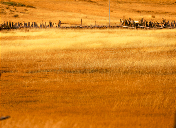 1604281877166023118.jpg 6.jpg