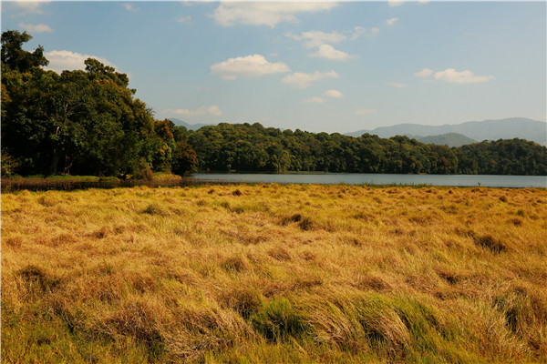 1604281923394004168.jpg 8.jpg