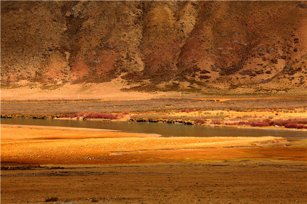 1604281937668011345.jpg 9.jpg