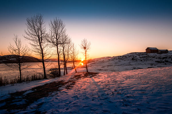 1604654040599044911.jpg 谁将平地万堆雪,剪刻作此连天花(尺寸:600X400).jpg