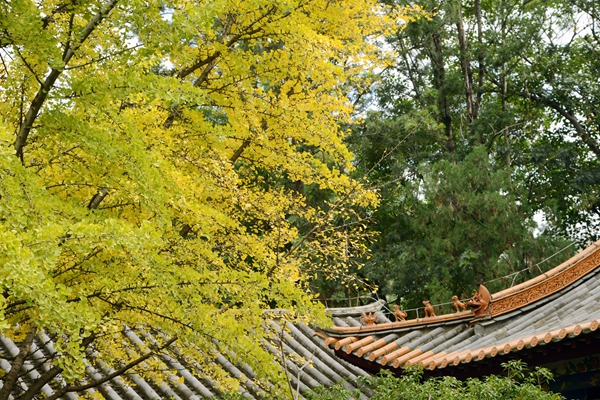 图片6.jpg
