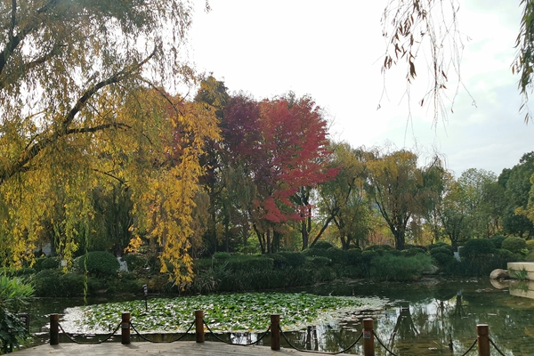 图片8.jpg