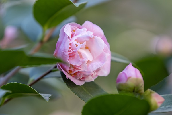 DSC_9476.jpg