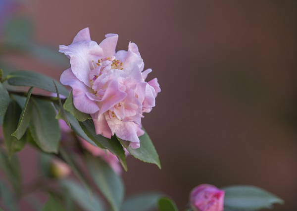 DSC_9674.jpg