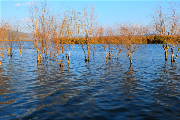 DSCF4880.jpg