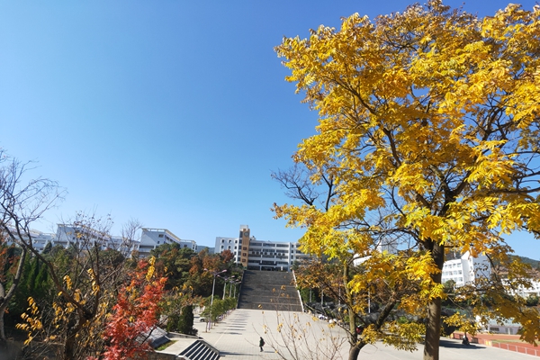 图片9.jpg
