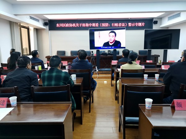 政协观看_副本.jpg