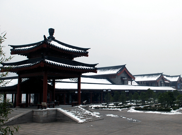 DSC_0341张斌_副本-政协_2.jpg